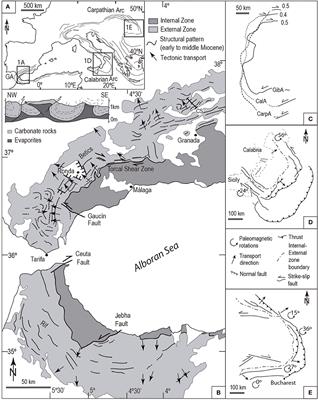 Analog Models of Fold-and-Thrust Wedges in Progressive Arcs: A Comparison With the Gibraltar Arc External Wedge